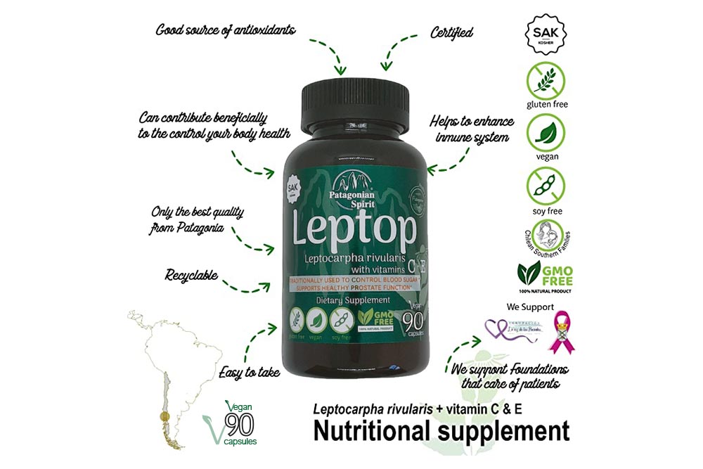 Leptocarpha rivularis capsules attributes