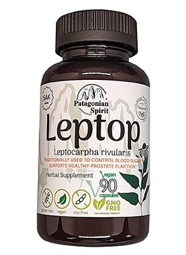 Nutritional Supplement Based on Leptocarpha rivularis – 90 Capsules