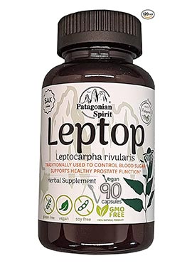 Nutritional Supplement Based on Leptocarpha rivularis – 90 Capsules