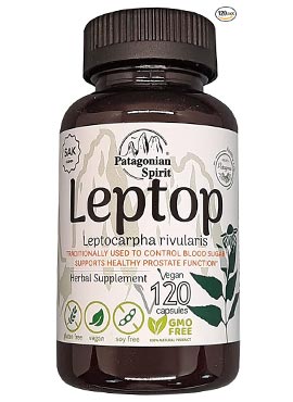 Nutritional Supplement Based on Leptocarpha rivularis – 120 Capsules