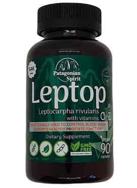 Nutritional Supplement Leptocarpha rivularis and Vitamins C and E – 90 Capsules