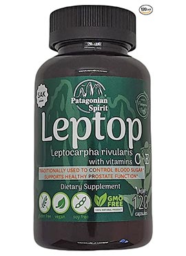 Nutritional Supplement Leptocarpha rivularis and Vitamins C and E – 120 Capsules