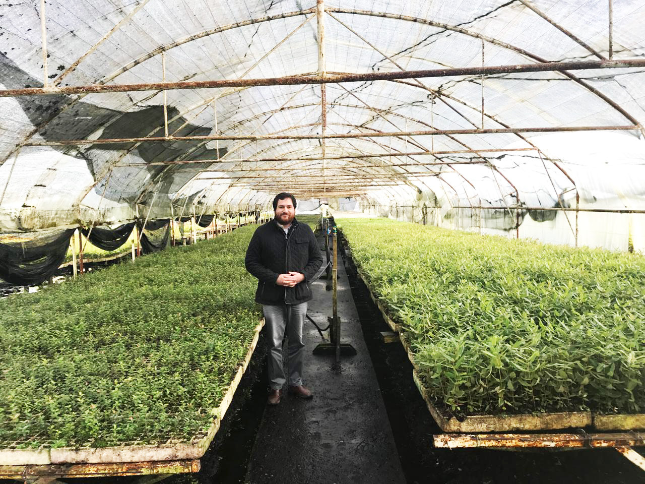 Esteban in nursery greenhouse with LEPTI