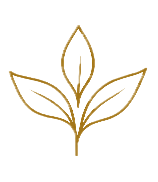 Proprietary Leptocarpha rivularis ecotype icon representing a distinctive cultivated botanical source