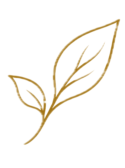 LEPTI-P40 cultivation and development icon representing 15+ years of controlled botanical cultivation