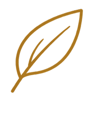 Cultivate step icon showing managed cultivation of Leptocarpha rivularis in Southern Chile